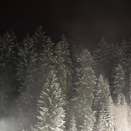Konukevi Rosa Harrachov