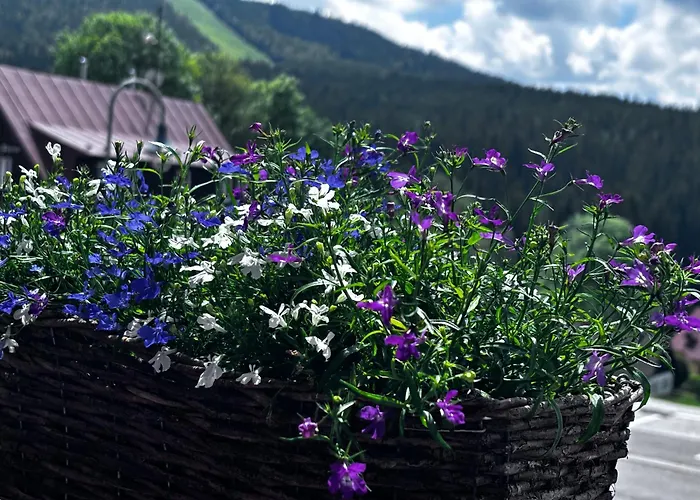 Rosa Konukevi 3*