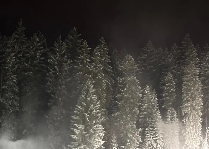Konukevi Rosa Harrachov